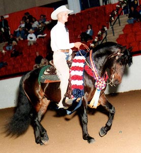 vaquero